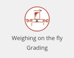 Checkweighing with eNod