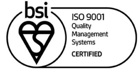 BSI-LOGO-2021